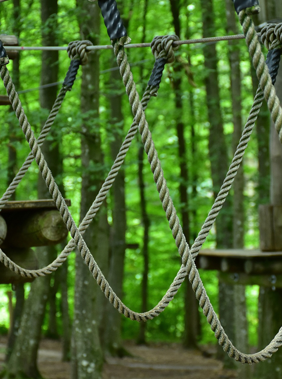 Accrobranche Reserver Experience Bearn - Expérience Béarn